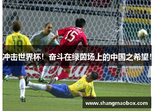 冲击世界杯！奋斗在绿茵场上的中国之希望！